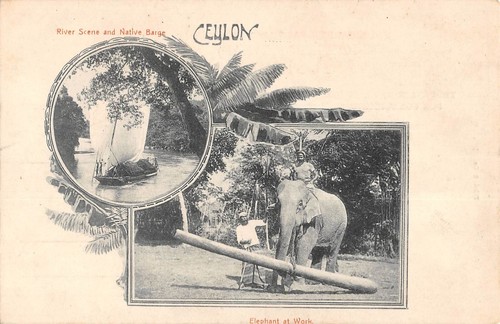 Cpa ceylon river - river, scene